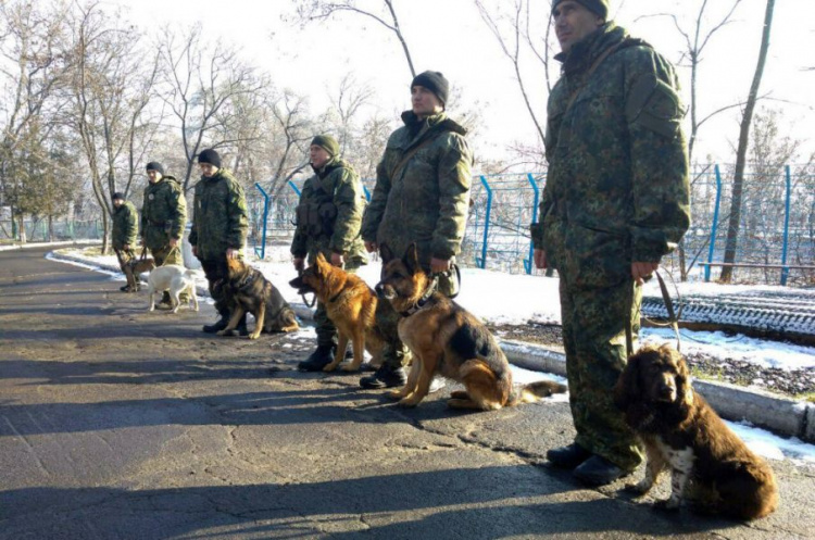 Кинологический центр в Мариуполе принял собак из 8 областей Украины (ФОТО)