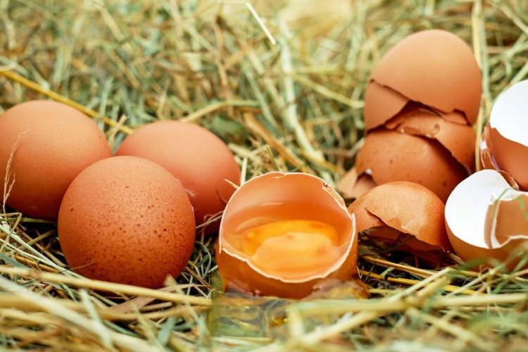Яйца и домашняя еда «наградили» мариупольцев сальмонеллезом