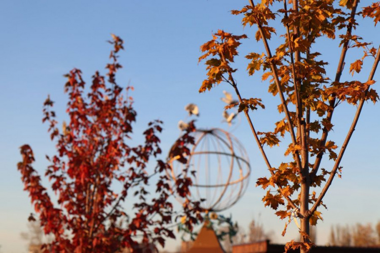 Мариупольская осень в Юбилейном парке имени Гурова (ФОТОРЕПОРТАЖ)