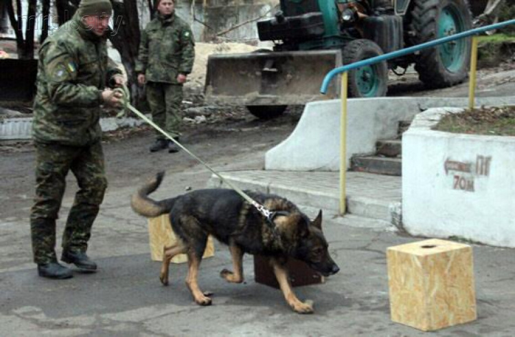Спасать Донбасс от взрывчатки будут четвероногие полицейские (ФОТО)