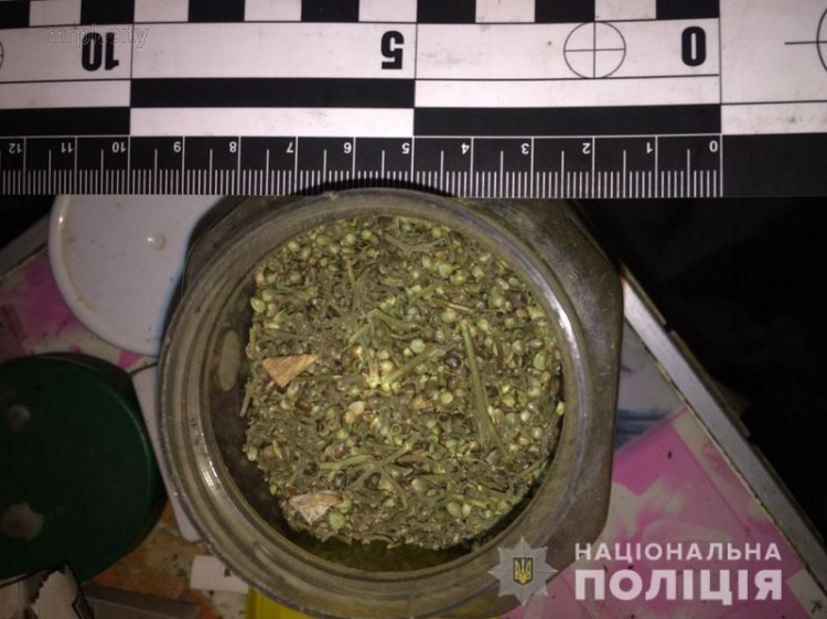 На Донетчине с помощью собаки обнаружили килограммы марихуаны (ФОТО)