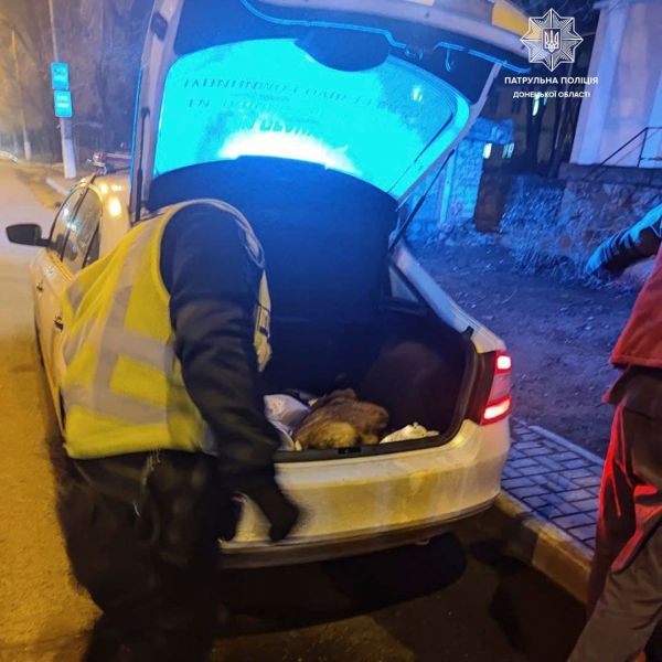 Мариупольские полицейские спасали пса, попавшего под колеса автомобиля