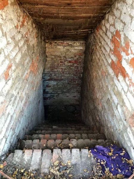Под Мариуполем обнаружен схрон с гранатометами (ФОТО)
