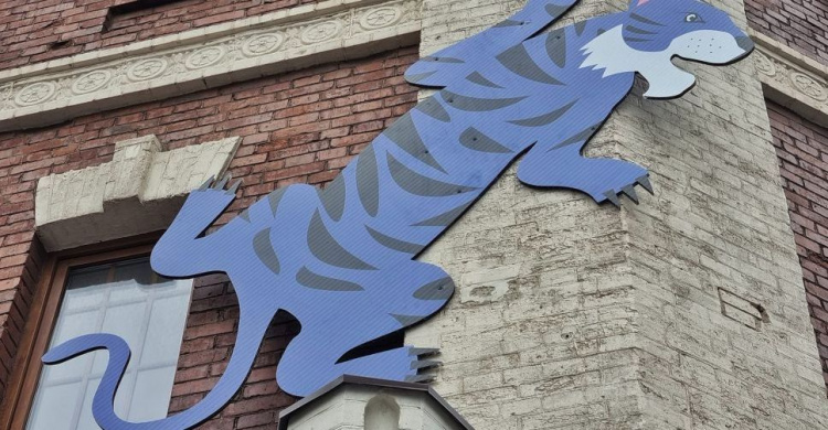 Синий тигр «залез» на водонапорную башню Мариуполя