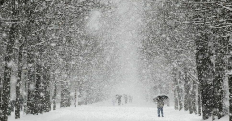 В Мариуполе с новой рабочей неделей придет снегопад
