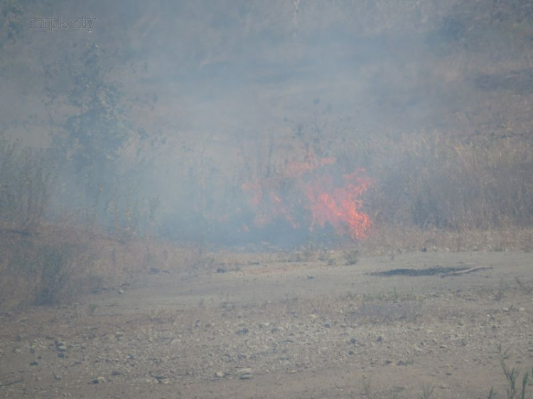 В Мариуполе пик возгораний, за выходные вспыхнуло 200 пожаров (ФОТО+ВИДЕО)