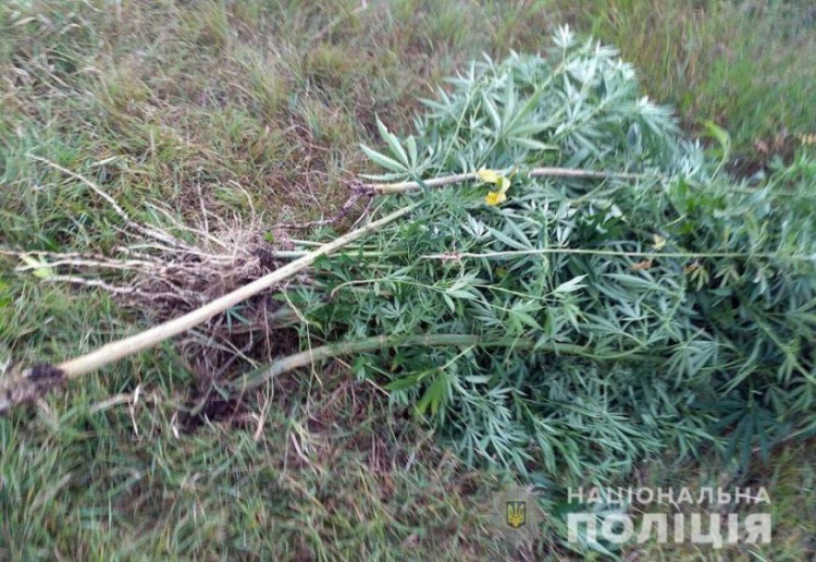 Полицейские Донецкой области накрыли группировки, изъяв наркотиков на 2 млн гривен (ФОТО)