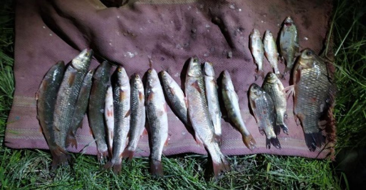 В Мариуполе браконьер «пауком» наловил рыбы на восемь тысяч гривен (ФОТО)