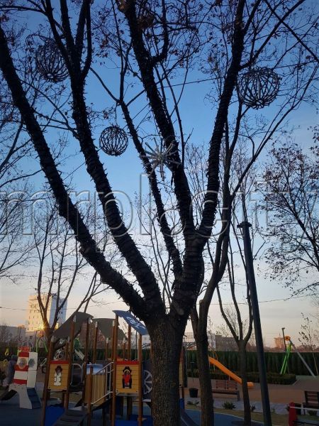 Большие шары и снежинки украсили деревья в центре Мариуполя
