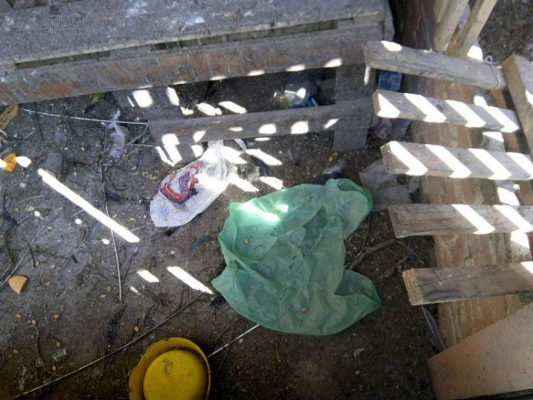 В импровизированном зоопарке Мариуполя голодают павлины и цесарки (ФОТО)