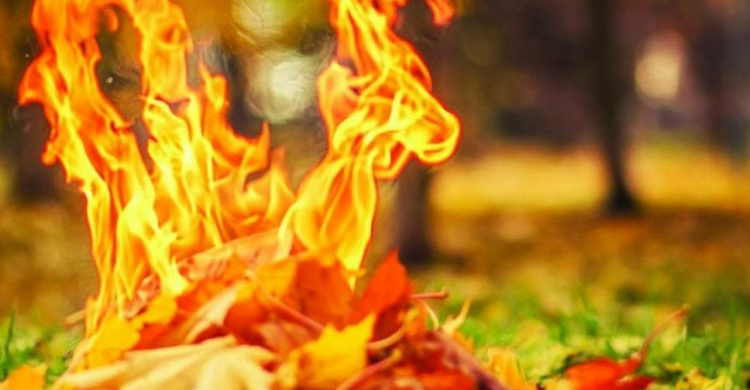 Не жги листву: спасатели предупредили о чрезвычайной пожарной опасности на Донетчине
