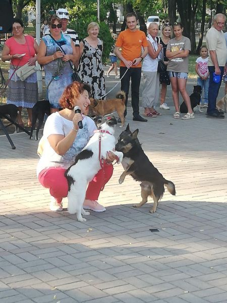 Владельцы беспородных собак собрались на фестиваль в Мариуполе (ФОТО)