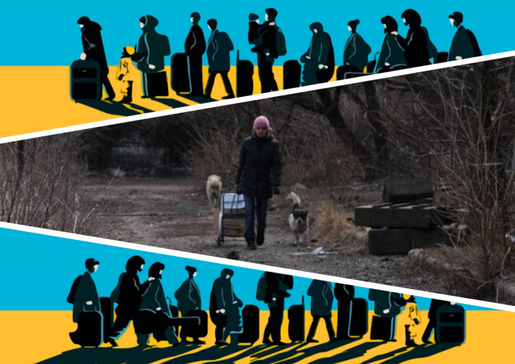 Шлях назустріч болю: чому переселенці Донбасу повертаються у зруйновані домівки