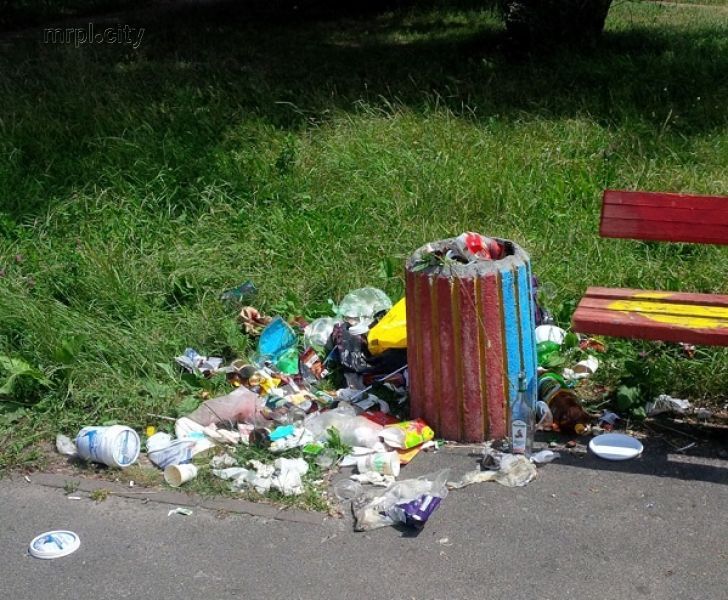 Верховная Рада установит «драконовские» штрафы за выброс мусора в неположенных местах