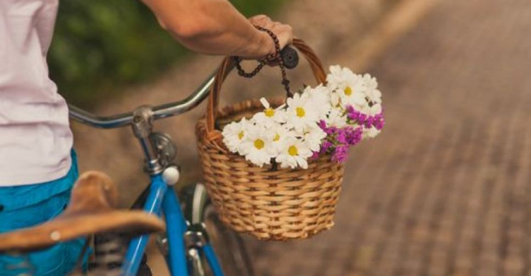 В поселке под Мариуполем из-за цветов мужчина лишился велосипеда