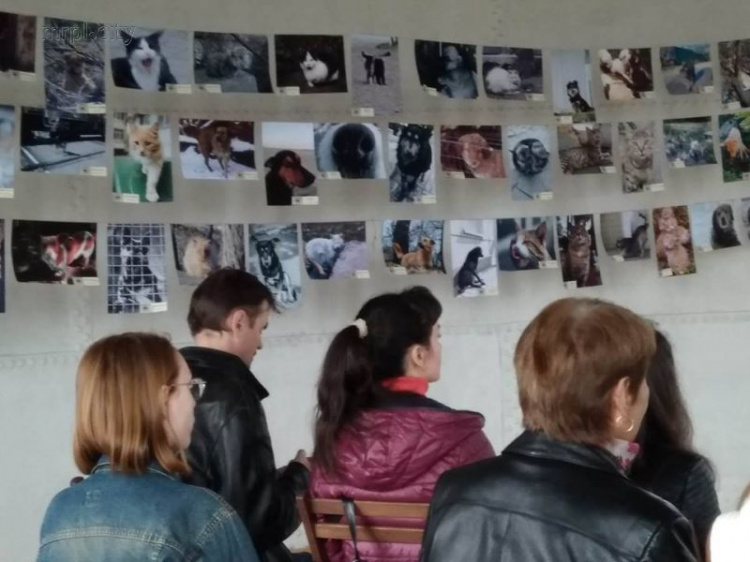 Они, как люди любят и страдают: Мариупольцы провели акцию в защиту бездомных животных (ФОТО)