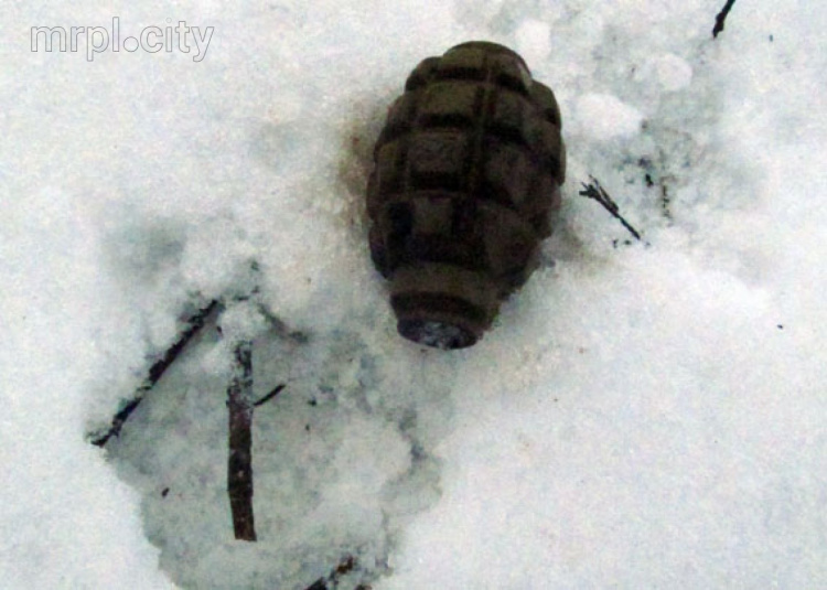 Вблизи Славянского блокпоста правоохранители нашли гранаты и взрыватели