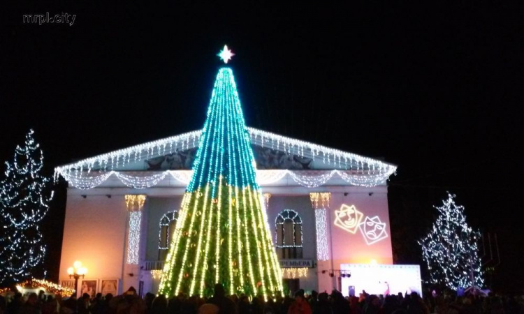 Мариупольская елка выборола четвертое место в голосовании «Мисс Елка-2017»