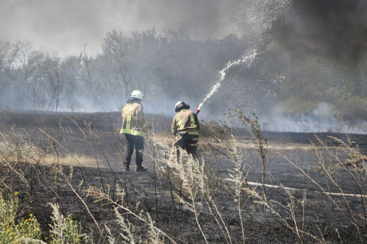 Сильный ветер в Приазовье мог привести к быстрому распространению пожара (ФОТО)