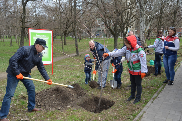 В честь 85-летия Донецкой области в Мариуполе образовали «Алею єднання»