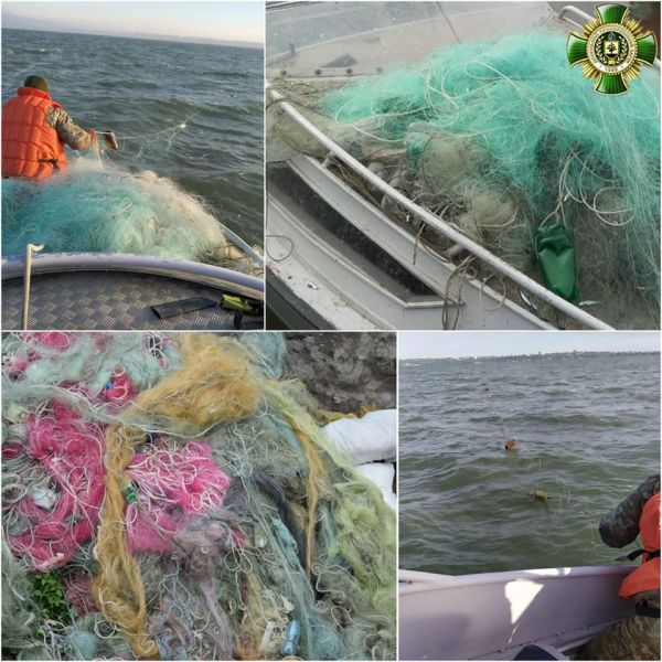 Пограничники выловили из Азовского моря порядка километра сетей с рыбой внутри (ФОТО)
