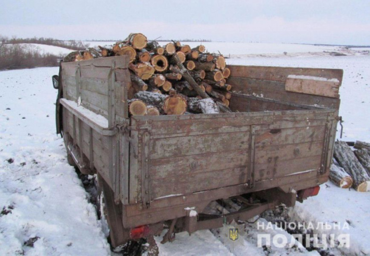 На Донетчине мужчина бросил грузовик с незаконно порубленными дровами (ФОТО)