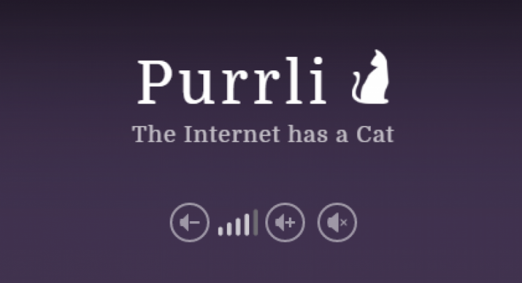 В Сети появился сайт, который имитирует кошачье мурчание