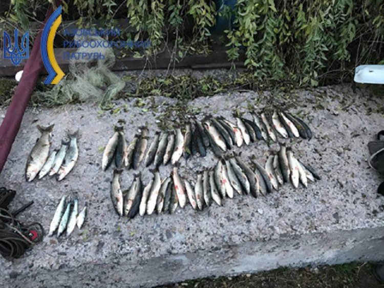В Мариуполе два браконьера нанесли убытки на 169 тысяч гривен