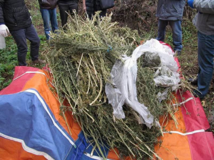 У жителя Донетчины обнаружили наркотики на полмиллиона гривен (ФОТОФАКТ)