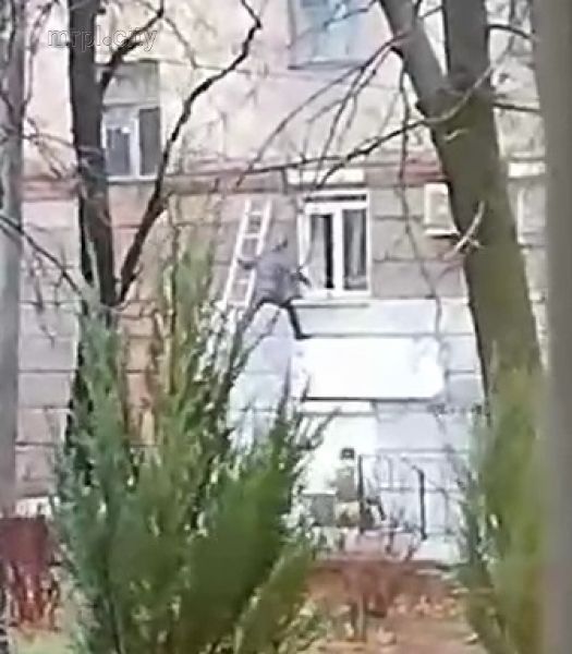 Спецоперация в Мариуполе. Правоохранители ворвались в помещение через окно (ФОТО+ВИДЕО+УТОЧНЯЕТСЯ)