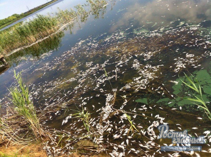 Азовскому морю грозит загрязнение из-за экологической катастрофы под Ростовом