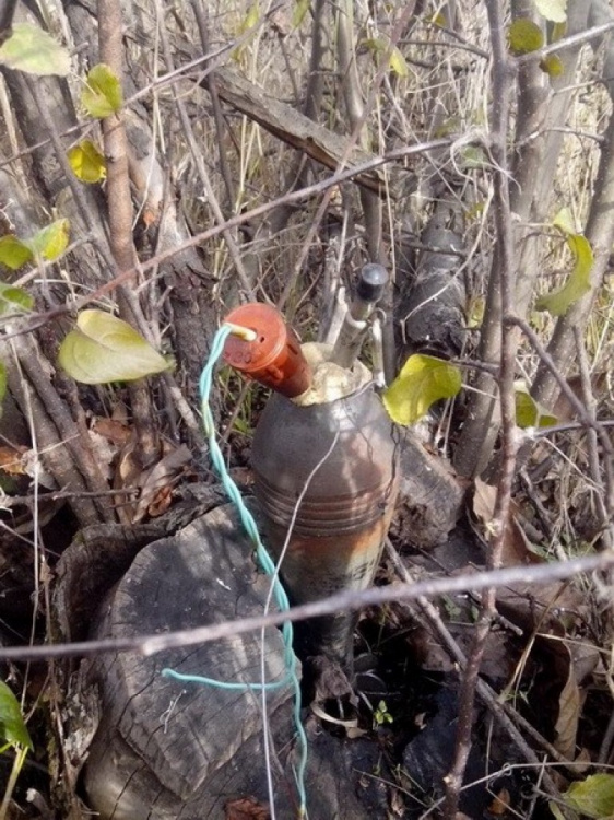 В Донецкой области обезврежено самодельное взрывное устройство, заложенное возле трассы - СБУ (ФОТО)