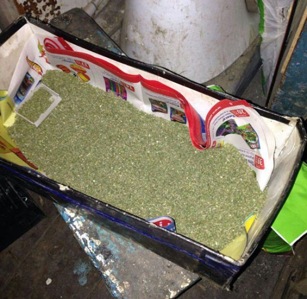 У мариупольца изъяли 3 килограмма наркотика собственного производства (ФОТО)