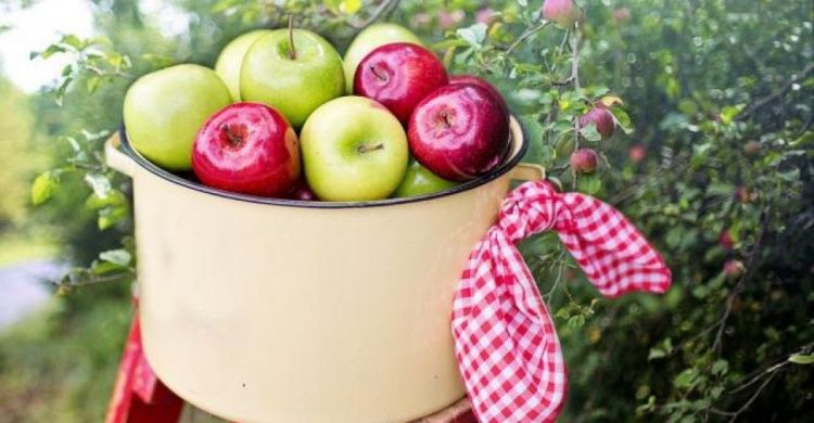 Мариупольцы отмечают Яблочный Спас или Преображение Господне. Традиции и обычаи празднования