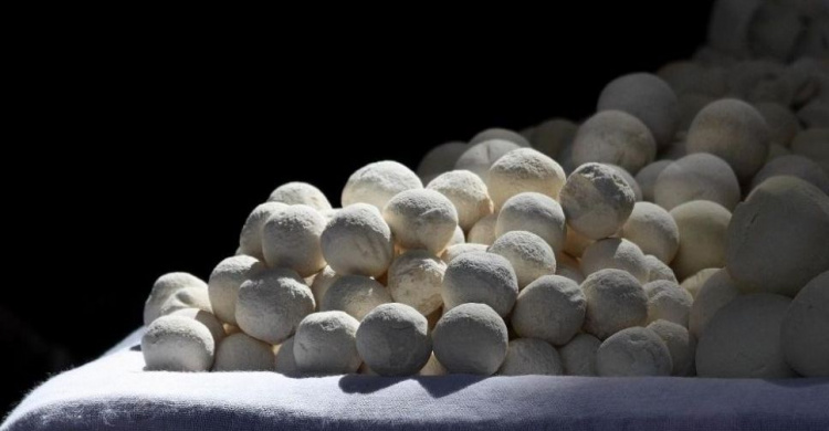 «Куркуль» вскоре откроет первую в Мариуполе сыроварню (ФОТО)