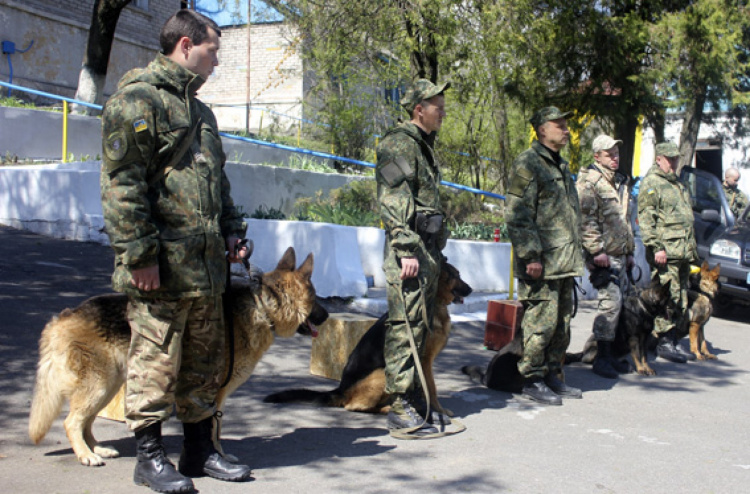 Полицейские собаки из пяти областей прибыли на подкрепление в Мариуполь (ФОТО)