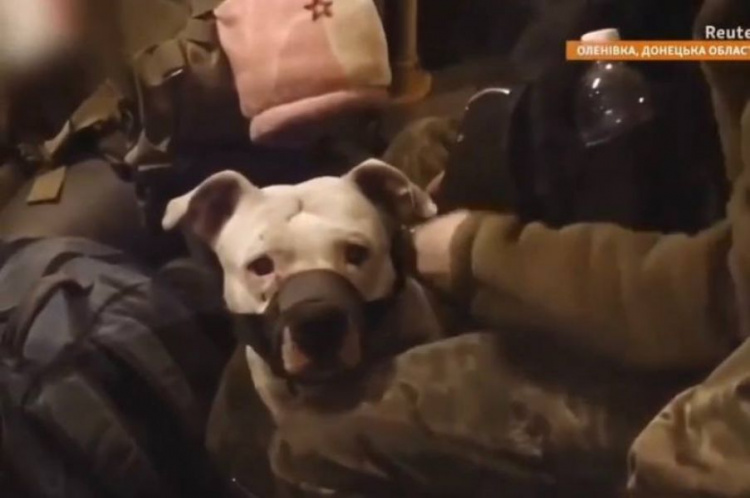 Оккупанты передали Кадырову собаку защитницы Мариуполя