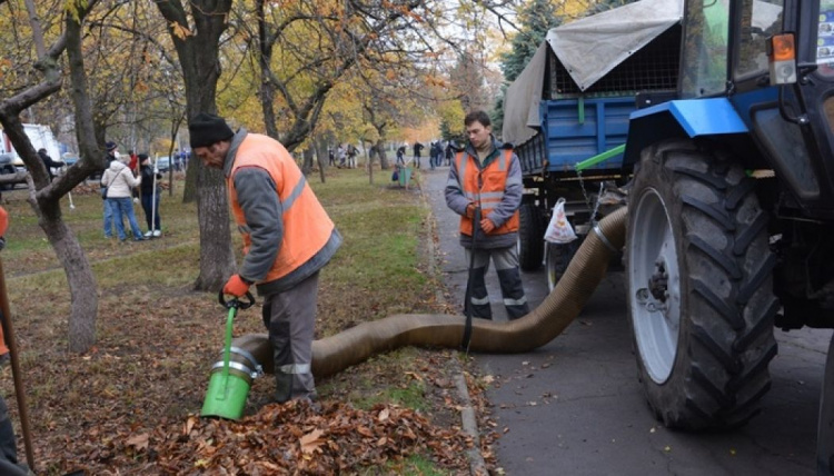 Каждую субботу ноября жители Мариуполя будут собираться на уборку улиц и парков (ФОТО)