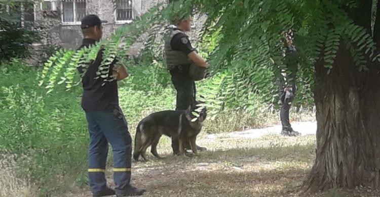 В районе Академии полиции в Мариуполе нашли «гранату»