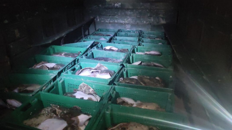 Под Мариуполем браконьеры незаконно выловили более 850 кг рыбы (ФОТО+ВИДЕО)