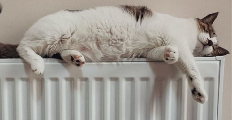 Почему котельные Мариуполя работают не на полную мощность, и куда обращаться при отсутствии тепла?
