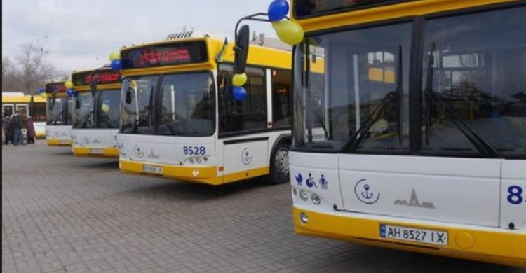Мариуполь закупит 14 новых автобусов с кондиционерами