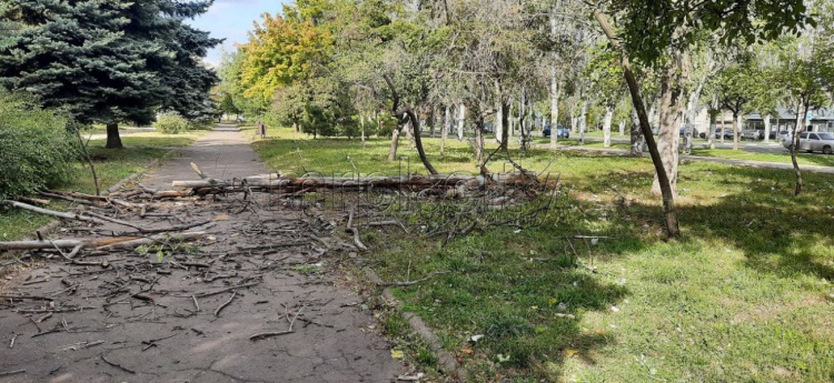 В Мариуполе штормовой ветер валил деревья и сорвал с магазина кровлю