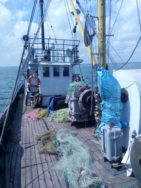 Под Мариуполем в браконьерские сети попали сотни рыб