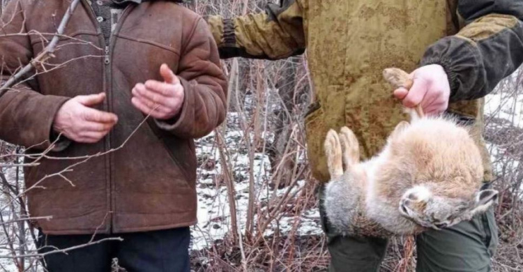 За незаконную охоту на фазана и зайца будут судить жителя Донетчины