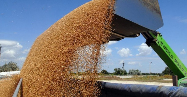 Фиктивное предприятие из Донецкой области незаконно экспортировало зерно в Швейцарию и Великобританию
