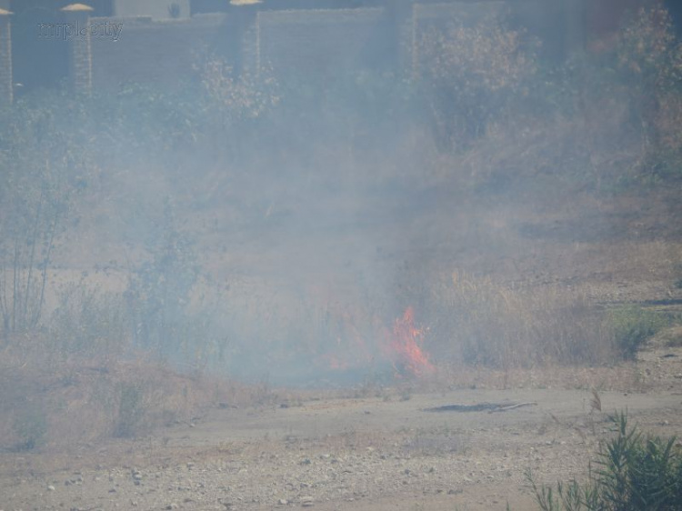 В Мариуполе пик возгораний, за выходные вспыхнуло 200 пожаров (ФОТО+ВИДЕО)