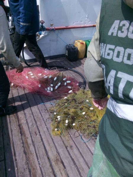 Под Мариуполем в браконьерские сети попали сотни рыб