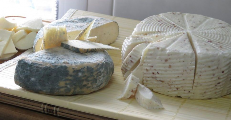 В Мариуполе «куркуль» запустил производство авторских сыров (ФОТО)