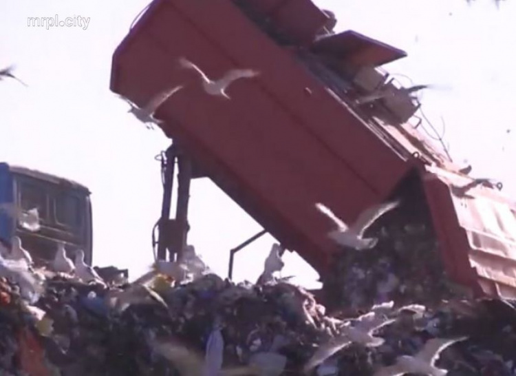 В Мариуполе жильцы многоэтажного дома зарабатывают на сортировке мусора (ФОТО)